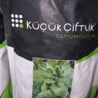 بذر اسفناج