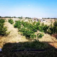 زمین و باغچه فروشی