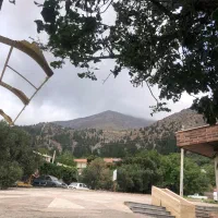 زمین مسکونی