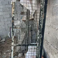 اتاق پیکان وانت