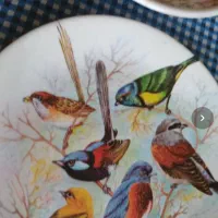 بشقاب ملامین طرح پرنده