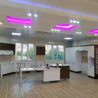 رابیتس و نورمخفی