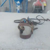 دهنه اسب تمام چرم