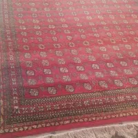 فرش دست بافت|فرش|پرند, فاز ۶|دیوار