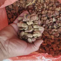 باقالا برا خلال|خوردنی و آشامیدنی|تهران, افسریه|دیوار