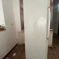 فریزر الکترو استیل