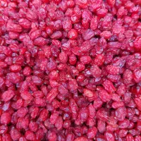 زرشک پفکی اناری عمده