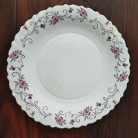 دیس گرد و بیضی پارس اوپال(پلمپ /نو)