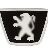 ۲۰۶ فرانسوی