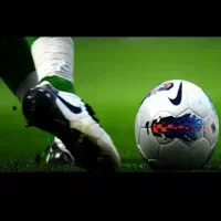 سانس چمن مصنوعی سپیدار