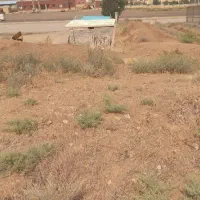 زمین ب متراژ1600گرمی روبروی شهرک ولیعصرکناراتوبان|فروش زمین و ملک کلنگی|گرمی, |دیوار