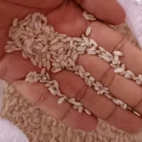 کامفیروزی برنج