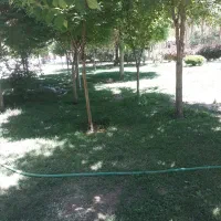 راهنمایی