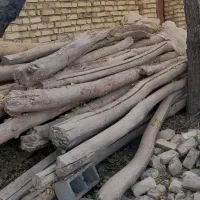 خریدار چوب تر و خشک سقفی ضایعات باغی و غیره