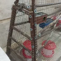 قفس بزرگ کردن جوجه مرغ و اردک و بوقلمون و غاز|لوازم جانبی حیوانات|قم, بکایی|دیوار