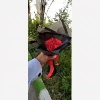 حراج رز برای یلدا