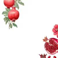 سفارش کلی شمع یلدا جشن یلدایی|صنایع دستی و سایر لوازم تزئینی|رشت, منظریه|دیوار