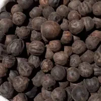 لیمو امانی امسالی تازه|عمدهفروشی|اوز, |دیوار