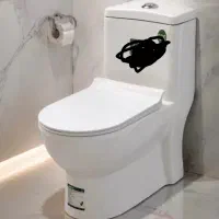 توالت فرنگی(چینی کرد)