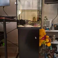 اکواریوم همراه پایه بخاری