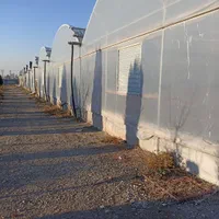 فروش ۱ هکتار /گلخانه فعال/قرچک /جاده فیلستان|فروش دفتر صنعتی، کشاورزی، تجاری|قرچک, صالح آباد|دیوار