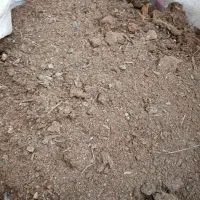 کود حیوانی|خدمات باغبانی و درختکاری|رشت, حومه رشت|دیوار