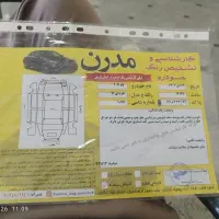 پژو دوگانه شرکتی 91