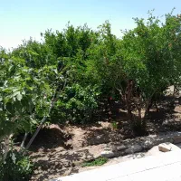 خانه|فروش خانه و ویلا|سبزوار, رباط|دیوار