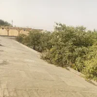 انبار 8000متری سوله شرکت پخش معاوضه پیامبراعظم چا|فروش دفتر صنعتی، کشاورزی، تجاری|مشهد, شهید بصیر|دیوار