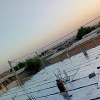 نصب ایزوگام دلیجان|خدمات پیشه و مهارت|بیجار, |دیوار