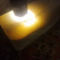 شاه مقصود راف70کیلودرجه یک بدون پرتی فوری زیرقیمت|کلکسیون و سرگرمی|تهران, دستغیب|دیوار