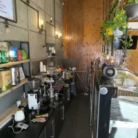 استخدام نیرو باریستا فقط خانم