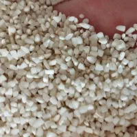 ب رنج سالم و *نیم دانه|خوردنی و آشامیدنی|دورود, |دیوار