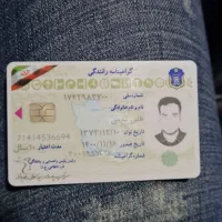 مدارک گم شده به نام علی قدمی