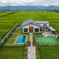 تحویل ۴ طبقه چنوبی دوماه کاری دیگه