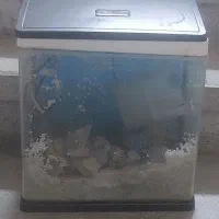 اکواریوم