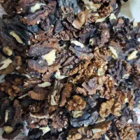 گردو فسنجان