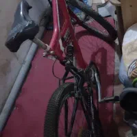 دوچرخه 24|دوچرخه، اسکیت، اسکوتر|بوشهر, |دیوار