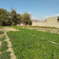 زمین کشاورزی در یافت اباد|فروش زمین و ملک کلنگی|تهران, سعیدآباد|دیوار