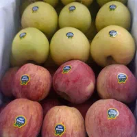 یک باربرای حمل دارم ازارومیه به مریوان