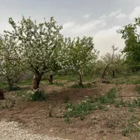 ۲۳۰مترجابان مناسب ساخت+انشعابات+سند تکبرگ و اقساط
