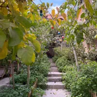 سوییت اقامتگاه بومگردی چنارستان درود|اجارهٔ کوتاه‌مدت آپارتمان و سوئیت|نیشابور, مسکن مهر نور|دیوار