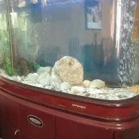 اکواریوم چینی وارداتی