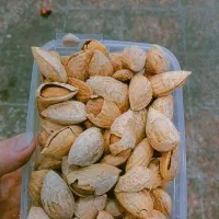 اجیل وخشکبار