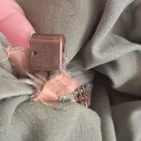 اورکت امریکایی اصل درحد نو|لباس|لاهیجان, مهرگان|دیوار