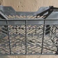 سبدمیوه در حدنو