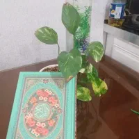 تلاوت قرآن و نماز قضا برای اموات