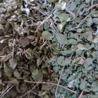 خریدار آویشن