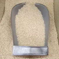 برنج نوع امسال1405