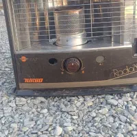 تیوست ژاپنی